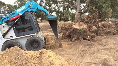 vimeo compact skid steer removing cedar|Skid Steer Stump Removal Bucket .